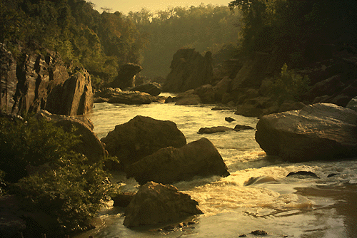 Forêt de Dandkaranya