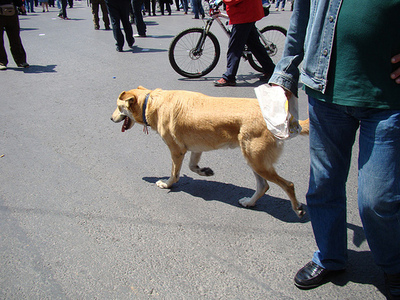 (1 May 2010)Heading to work