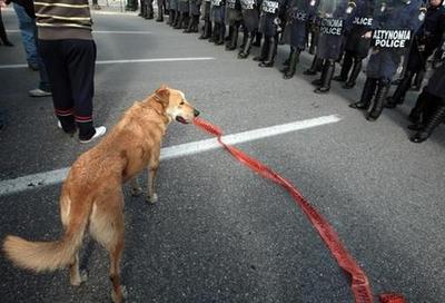(14 feb 2009) A Valentine’s gift. Beware of greek strays, bearing police -do not cross- barriers